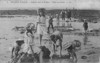 Pour agrandir cliquer sur la vignette ll_pd008a.jpg