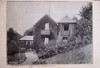 Pour agrandir cliquer sur la vignette myrtils01.jpg