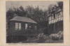 Pour agrandir cliquer sur la vignette myrtils05.jpg