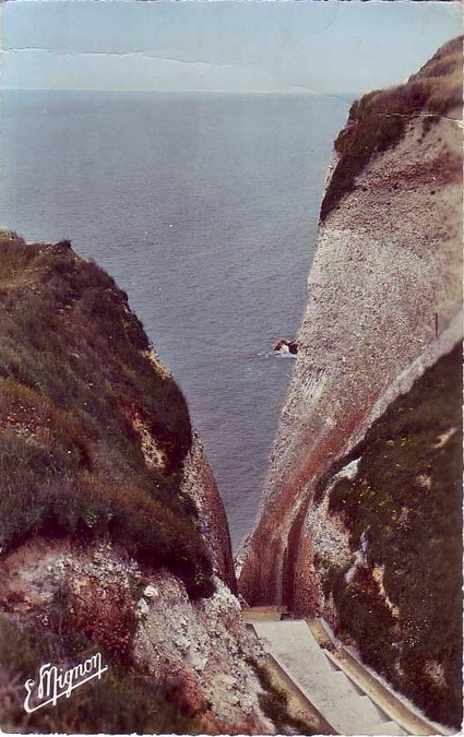 mignon18.jpg